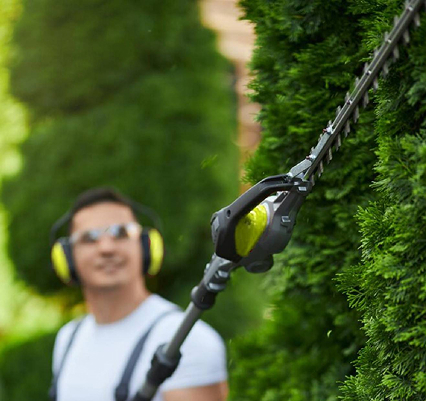 Landschaftsbauer, der mit einer elektrischen Heckenschere eine Hecke zurecht schneidet.